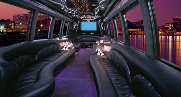 Mini Party Bus Interior